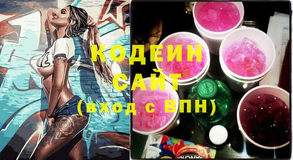 спиды Бородино