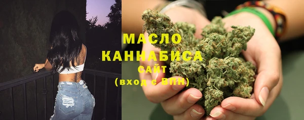 спиды Бородино