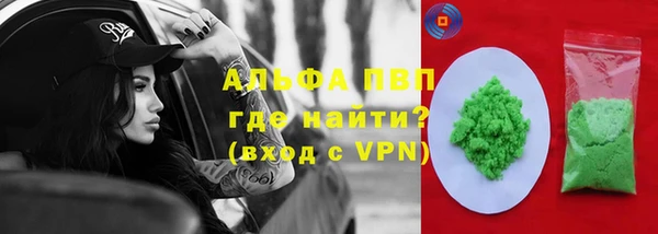 спиды Бородино
