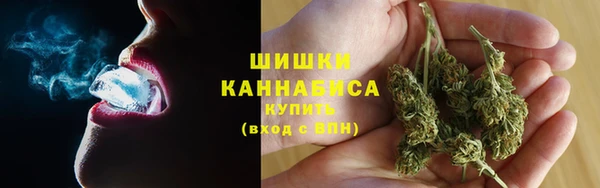 спиды Бородино