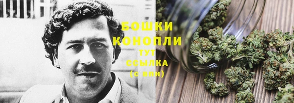спиды Бородино
